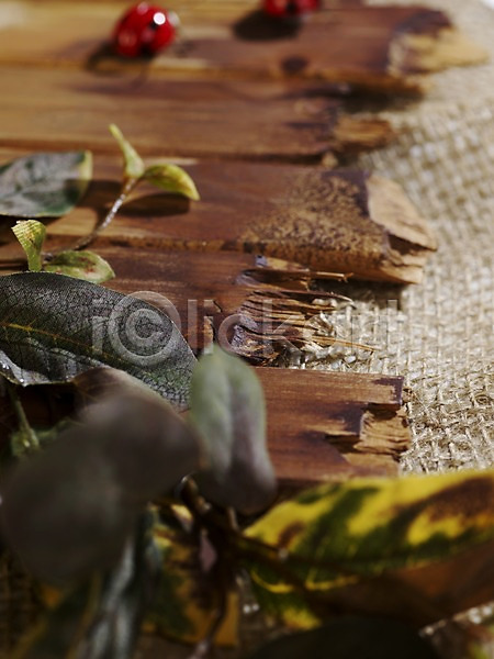 사람없음 JPG 아웃포커스 포토 가을(계절) 가을풍경 계절 곤충 나뭇잎 낙엽 모형 목재 무당벌레 백그라운드 스튜디오촬영 식물 실내 오브젝트 잎 자연 판넬