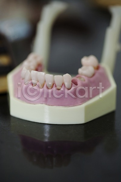 사람없음 JPG 아웃포커스 포토 모형 실내 의료용품 치과 치과용품 치아 치아모형