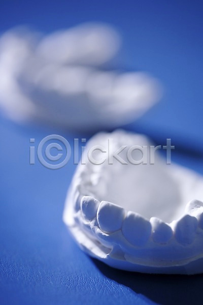 사람없음 JPG 근접촬영 아웃포커스 포토 모형 실내 의료용품 치과 치과용품 치아 치아모형