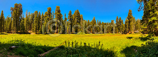 JPG 포토 해외이미지 공원 전국 해외202008 해외포토