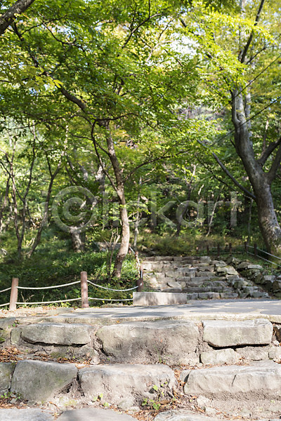 사람없음 JPG 포토 가을(계절) 가을풍경 개심사 나무 돌계단 사찰 서산 야외 여행 자연 주간 풍경(경치) 한국