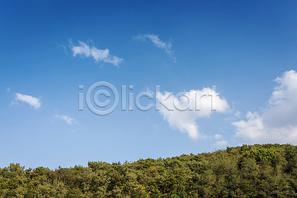 사람없음 JPG 포토 가을(계절) 가을풍경 구름(자연) 나무 서산 야외 여행 자연 주간 풍경(경치) 하늘 한국