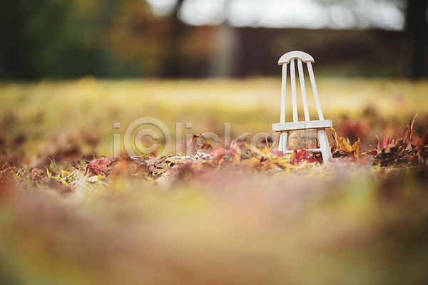편안함 사람없음 JPG 근접촬영 아웃포커스 포토 가을(계절) 계절 낙엽 단풍 백그라운드 야외 오브젝트 의자 장난감 주간