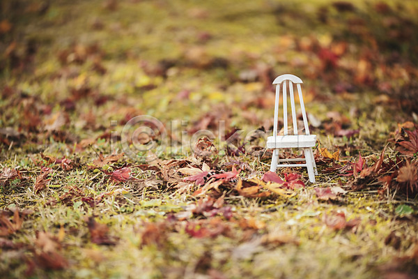 편안함 사람없음 JPG 포토 가을(계절) 계절 낙엽 단풍 백그라운드 야외 오브젝트 의자 장난감 주간