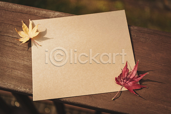 편안함 사람없음 JPG 포토 가을(계절) 계절 낙엽 백그라운드 야외 오브젝트 종이 주간 카피스페이스 프레임
