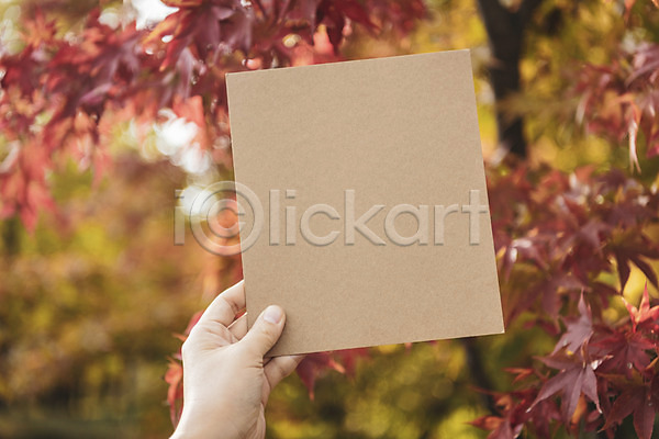 편안함 40대 신체부위 중년 한국인 JPG 포토 가을(계절) 계절 낙엽 백그라운드 손 야외 오브젝트 종이 주간 카피스페이스 프레임