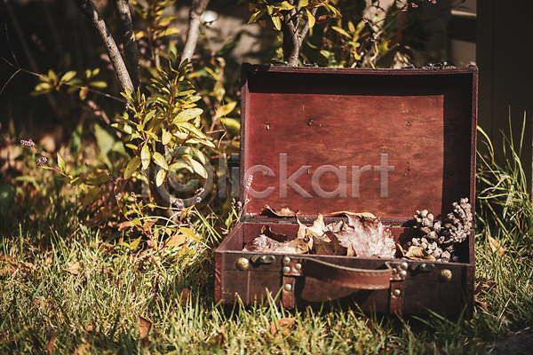 편안함 사람없음 JPG 포토 가방 가을(계절) 계절 나뭇가지 백그라운드 야외 오브젝트 주간