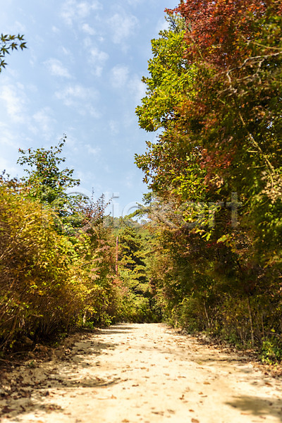 사람없음 JPG 포토 가을(계절) 나무 낙엽 단풍 단풍나무 둘레길 북한산 숲 야외 자연 주간 풍경(경치)
