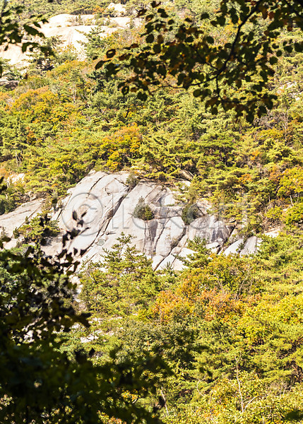 사람없음 JPG 포토 가을(계절) 낙엽 단풍 단풍나무 둘레길 바위(돌) 북한산 산 야외 자연 주간 풍경(경치)