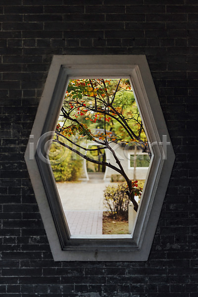 사람없음 JPG 포토 가을(계절) 공원 낙엽 단풍 단풍나무 수원 액자 야외 월화원 자연 주간 창문 풍경(경치)
