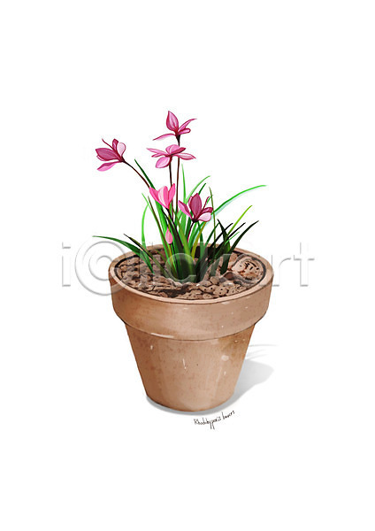 사람없음 PSD 일러스트 꽃 디테일 분홍색 설란 식물 원예 조약돌 화분 흙