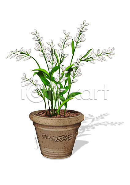 사람없음 PSD 일러스트 꽃 디테일 식물 원예 은난초 조약돌 화분 흰색