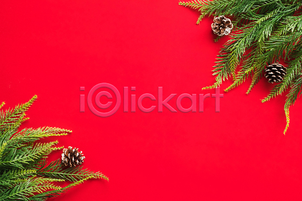 시원함 축하 사람없음 JPG 포토 해외이미지 12월 겨울 계절 기념 나무 나뭇가지 디자인 발표 백그라운드 빨간색 심볼 연도 오브젝트 장식 전나무 전통 초록색 축제 침엽수 카피스페이스 크리스마스 해외202009 휴가