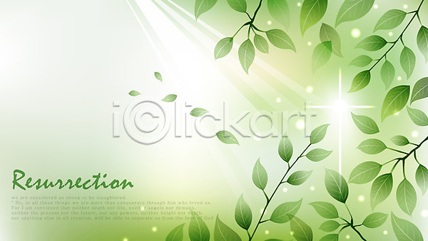 사람없음 EPS 일러스트 공백 기독교 나무 나뭇잎 백그라운드 부활 빛 식물 잎 종교 초록색 컬러