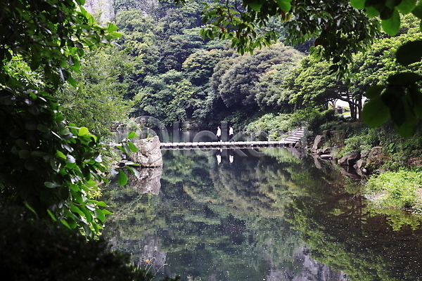 사람 JPG 포토 강 계곡 골짜기 나무 나뭇잎 다리(건축물) 돌다리 산 산속 숲 식물 야외 자연 주간 풍경(경치)