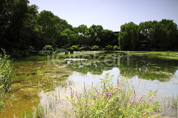 사람없음 JPG 포토 꽃 나무 물 숲 습지 식물 야외 연못 자연 저수지 주간 풀(식물) 풍경(경치) 하늘