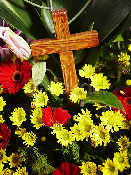 사람없음 JPG 포토 교회 기독교 기독교용품 꽃 나무십자가 백그라운드 식물 실내 십자가 오브젝트 잎 종교 종교용품
