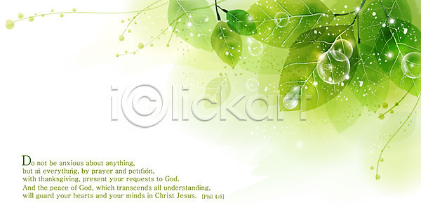 감성 사람없음 EPS 일러스트 공기방울 기독교 나뭇잎 내추럴 물방울 백그라운드 성경 식물 이슬 잎 자연 자연적 종교 초록색 컬러