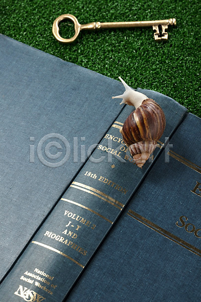 사람없음 JPG 포토 달팽이(동물) 동물 백그라운드 스튜디오촬영 실내 연체동물 열쇠 오브젝트 책 컨셉 한마리
