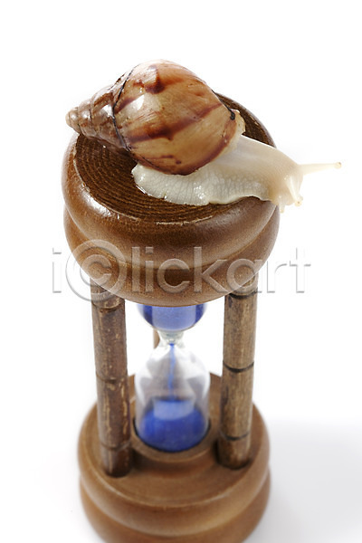 사람없음 JPG 포토 공백 달팽이(동물) 동물 모래시계 백그라운드 스튜디오촬영 실내 연체동물 오브젝트 컨셉 한마리