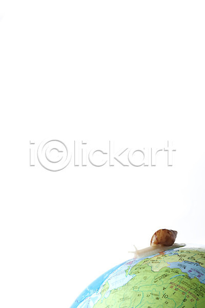 사람없음 JPG 포토 공백 달팽이(동물) 동물 백그라운드 스튜디오촬영 실내 연체동물 오브젝트 지구본 지도 컨셉 한마리