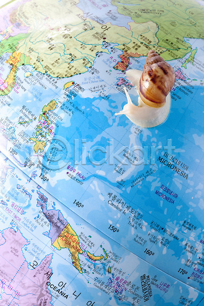사람없음 JPG 포토 달팽이(동물) 동물 백그라운드 스튜디오촬영 실내 연체동물 오브젝트 지구본 지도 컨셉 한국 한마리 한반도