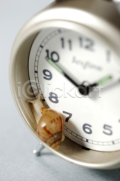 사람없음 JPG 포토 기호 달팽이(동물) 동물 백그라운드 숫자 스튜디오촬영 시간 시계 시곗바늘 실내 연체동물 오브젝트 컨셉 탁상시계 한마리