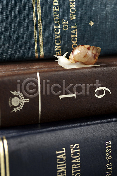 사람없음 JPG 포토 달팽이(동물) 동물 백그라운드 스튜디오촬영 실내 연체동물 오브젝트 책 컨셉 한마리