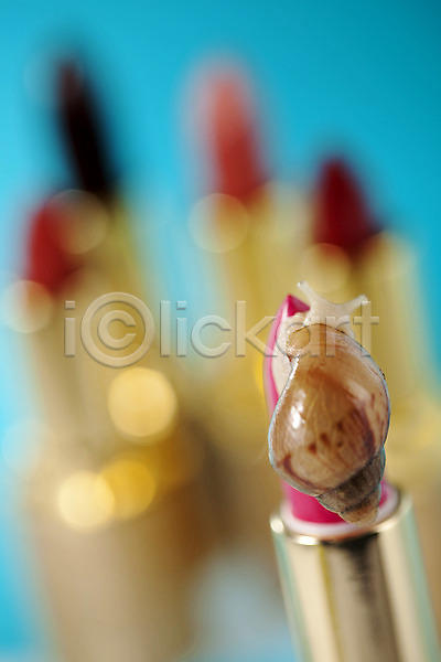 사람없음 JPG 포토 달팽이(동물) 동물 립스틱 백그라운드 스튜디오촬영 실내 연체동물 오브젝트 컨셉 한마리 화장품