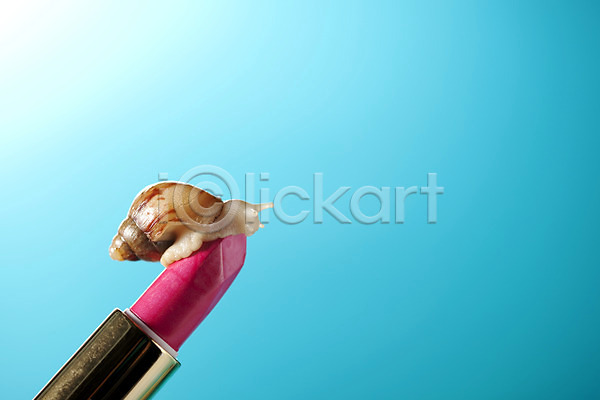 사람없음 JPG 포토 공백 달팽이(동물) 동물 립스틱 백그라운드 스튜디오촬영 실내 연체동물 오브젝트 컨셉 한마리 화장품