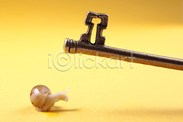 사람없음 JPG 포토 공백 달팽이(동물) 동물 백그라운드 스튜디오촬영 실내 연체동물 열쇠 오브젝트 컨셉 한마리