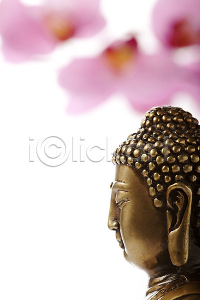 사람없음 JPG 포토 꽃 누끼 부처 불교 불교용품 불상 스튜디오촬영 식물 실내 종교 종교용품