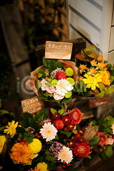 사람없음 JPG 포토 가격표 꽃 꽃집 식물 아시아 일본 일본문화 판매 풍경(경치) 화분