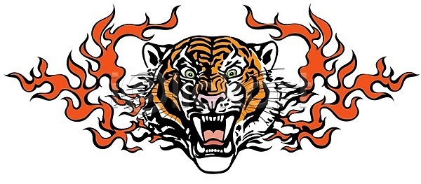 부족 분노 위험 EPS 일러스트 해외이미지 고립 고양이 공격 공격적 동물 마스코트 머리 문신 불 불꽃 사냥꾼 용기 육식동물 표현 해외202009 해외일러스트 호랑이 힘 힘찬