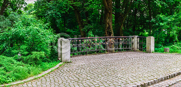 산책 휴식 사람없음 JPG 포토 해외이미지 공원 국립공원 그림자 길 나무 숲 여름 여행 역사 우크라이나 유럽 자연 해외202009 해외포토 호수 휴양지