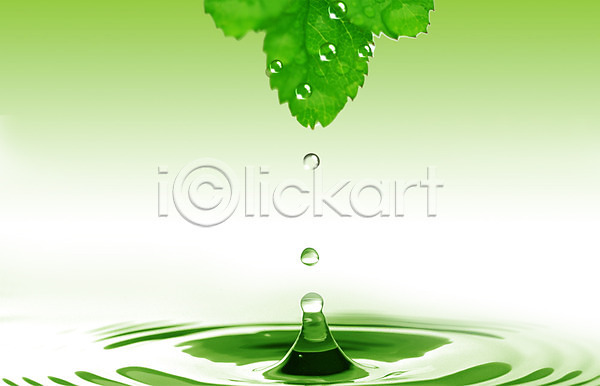 사람없음 PSD 디지털합성 편집이미지 나뭇잎 물 물결 물방울 물백그라운드 백그라운드 식물 이슬 잎 자연 초록색 컬러