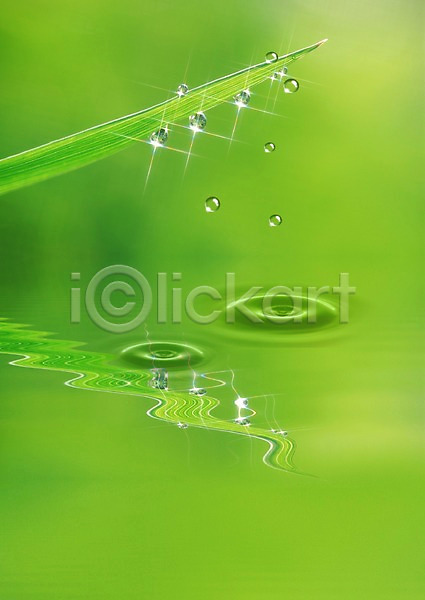 사람없음 PSD 디지털합성 편집이미지 물 물결 물방울 물백그라운드 반사 백그라운드 식물 이슬 잎 자연 초록색 컬러 풀잎