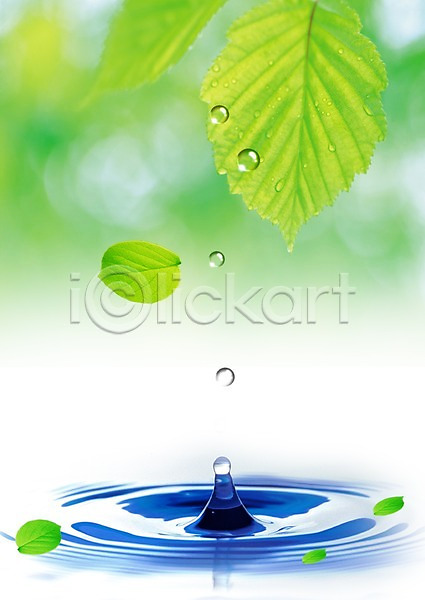 사람없음 PSD 디지털합성 편집이미지 나뭇잎 물 물결 물방울 물백그라운드 백그라운드 식물 이슬 잎 자연