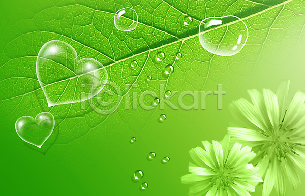 사람없음 PSD 디지털합성 편집이미지 꽃 나뭇잎 물 물결 물방울 물백그라운드 백그라운드 식물 이슬 잎 잎맥 자연 초록색 컬러 하트