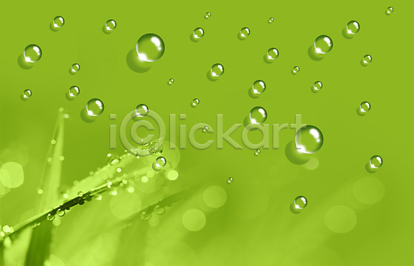 사람없음 PSD 디지털합성 편집이미지 물 물방울 물백그라운드 백그라운드 식물 이슬 잎 자연 초록색 컬러 풀잎