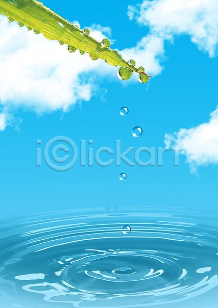 사람없음 PSD 디지털합성 편집이미지 구름(자연) 물 물결 물방울 물백그라운드 백그라운드 식물 이슬 잎 자연 풀잎 하늘