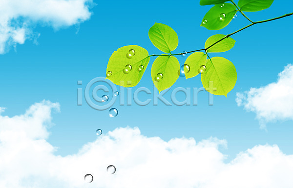 사람없음 PSD 디지털합성 편집이미지 구름(자연) 나뭇잎 물 물결 물방울 물백그라운드 백그라운드 식물 이슬 잎 자연 하늘