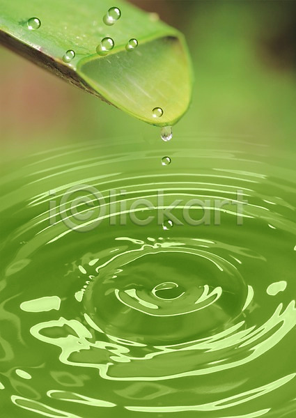 사람없음 PSD 디지털합성 편집이미지 물 물결 물방울 물백그라운드 백그라운드 식물 이슬 잎 자연 초록색 컬러 풀잎