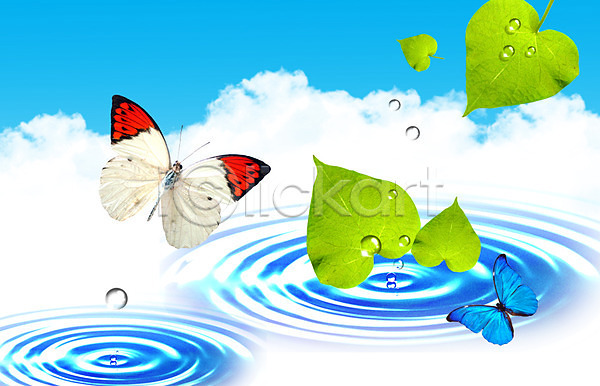 사람없음 PSD 디지털합성 편집이미지 곤충 구름(자연) 나뭇잎 나비 동물 두마리 물 물결 물방울 물백그라운드 백그라운드 식물 잎 자연 하늘