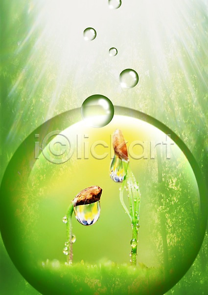 사람없음 PSD 디지털합성 편집이미지 물 물방울 물백그라운드 백그라운드 빛 새싹 식물 이슬 잎 자연 초록색 컬러