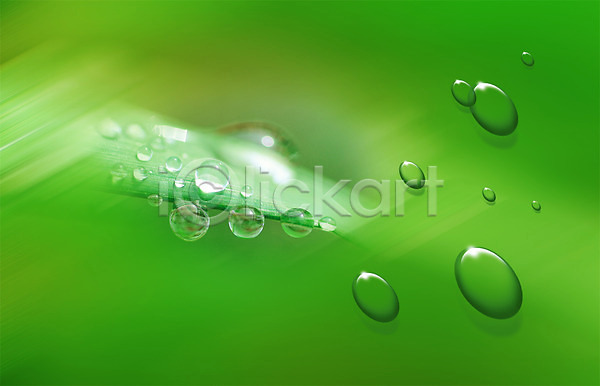 사람없음 PSD 편집이미지 물 물방울 물백그라운드 백그라운드 식물 이슬 잎 초록색 풀(식물) 풀잎