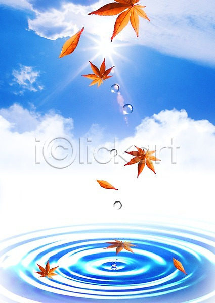 사람없음 PSD 편집이미지 구름(자연) 나뭇잎 낙엽 단풍 물 물결 물방울 물백그라운드 백그라운드 식물 이슬 잎 태양 하늘 해 햇빛