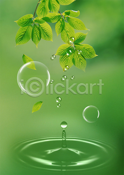 사람없음 PSD 편집이미지 공기방울 나뭇잎 물 물결 물방울 물백그라운드 백그라운드 식물 이슬 잎 초록색