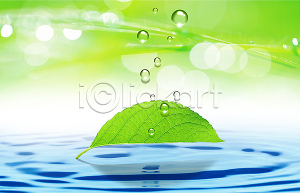 사람없음 PSD 편집이미지 나뭇잎 물 물결 물방울 물백그라운드 백그라운드 식물 이슬 잎