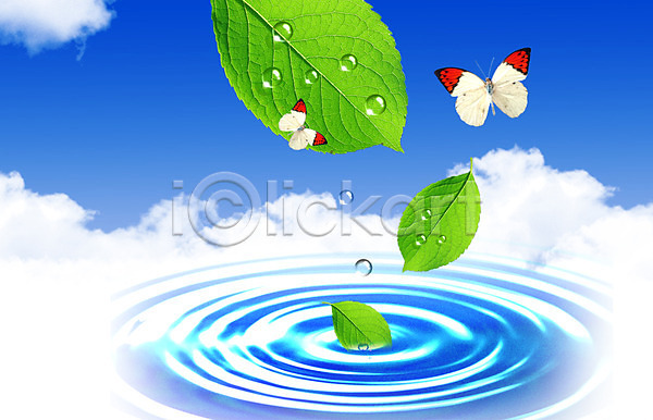 사람없음 PSD 편집이미지 곤충 구름(자연) 나뭇잎 나비 동물 두마리 물 물결 물방울 물백그라운드 백그라운드 식물 이슬 잎 하늘